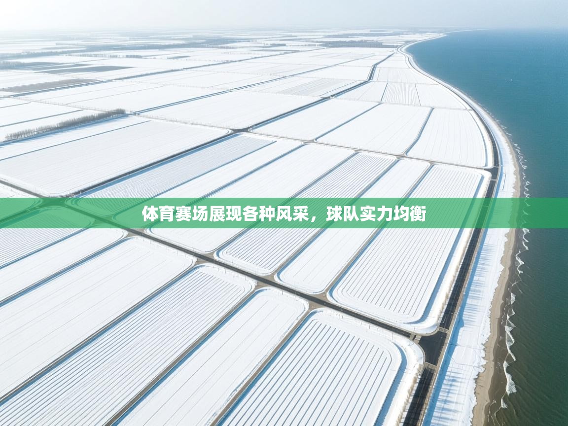 体育赛场展现各种风采，球队实力均衡  第1张