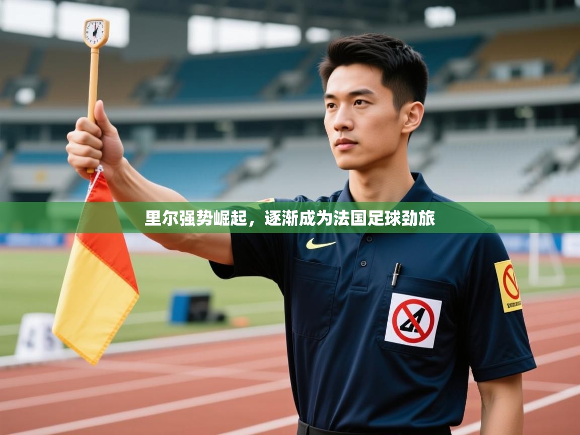 里尔强势崛起，逐渐成为法国足球劲旅  第2张