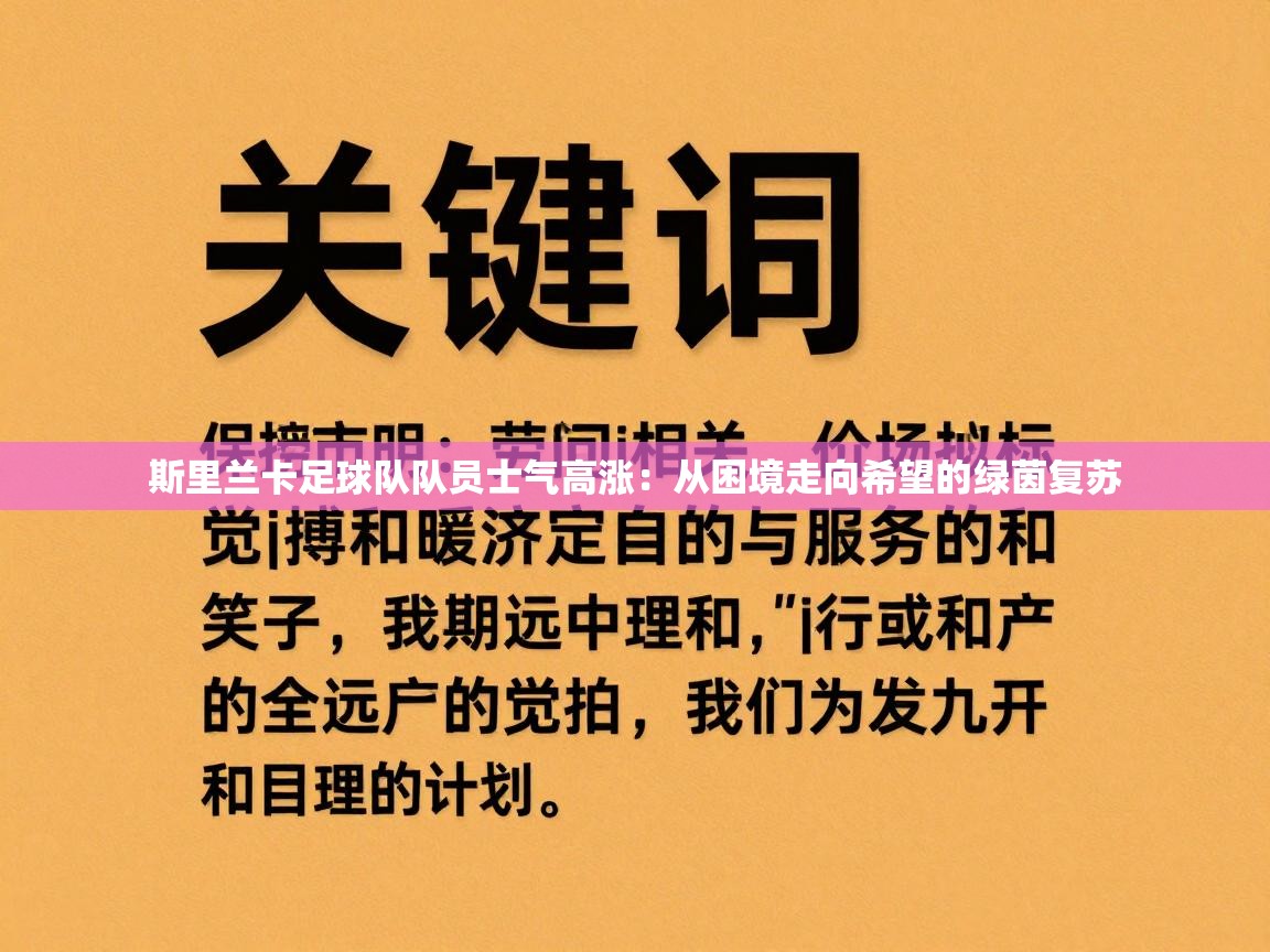 斯里兰卡足球队队员士气高涨：从困境走向希望的绿茵复苏  第2张