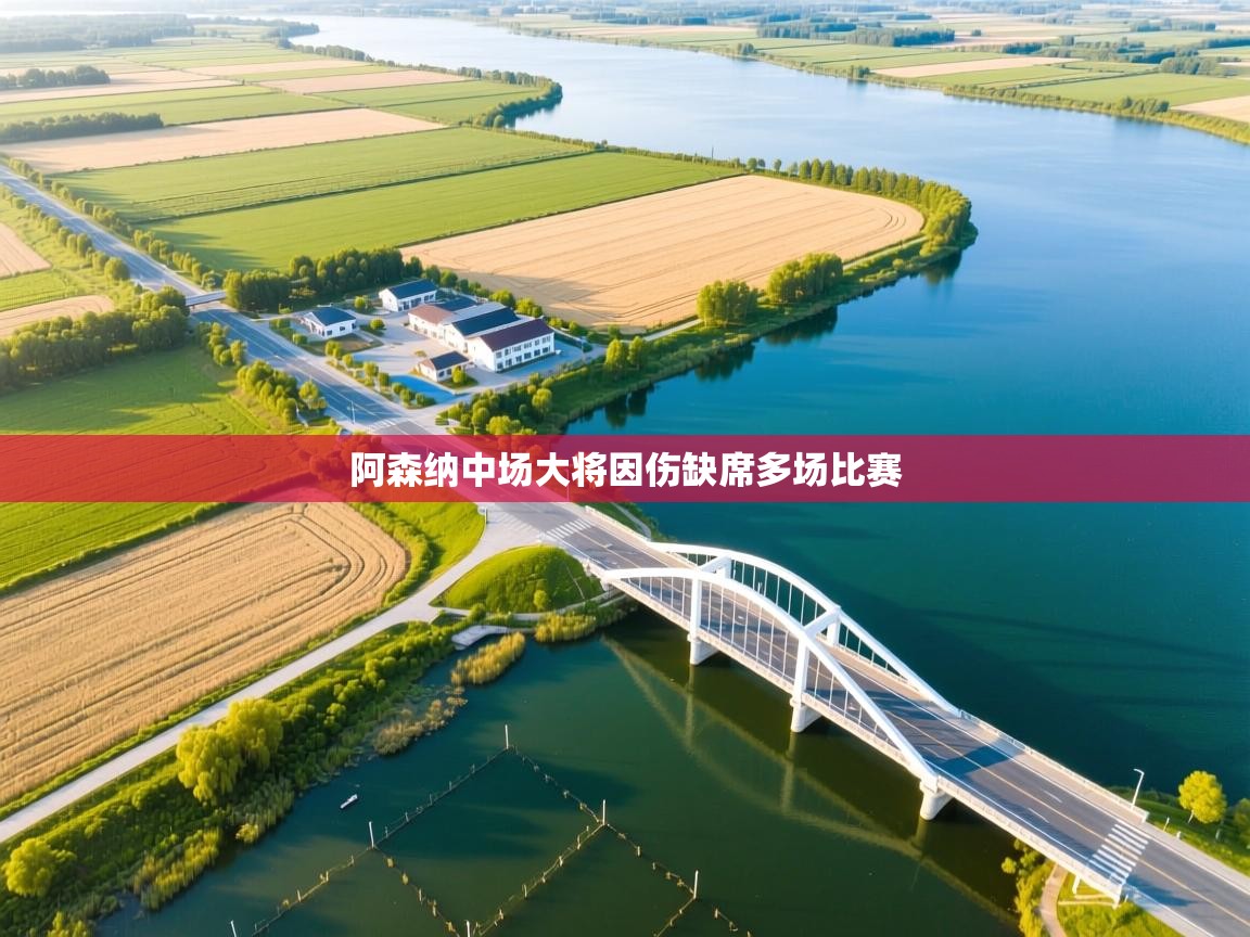 阿森纳中场大将因伤缺席多场比赛  第2张