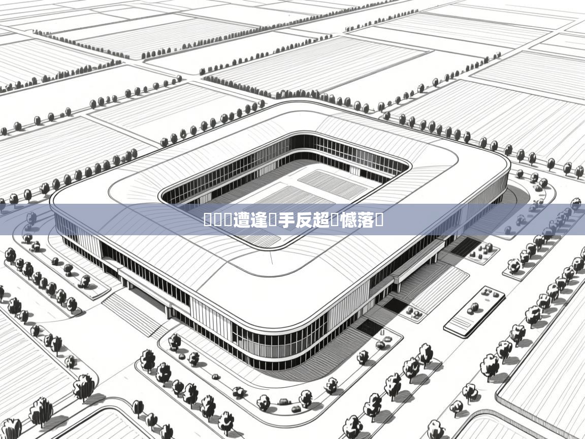 鵜鶘隊遭逢對手反超遺憾落敗  第2张