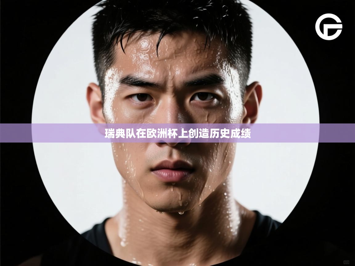 瑞典队在欧洲杯上创造历史成绩  第1张